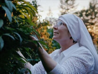 El documental ‘Rompiendo hábitos’ muestra la reinvención de una exejecutiva que fundó una empresa de venta de marihuana medicinal en California