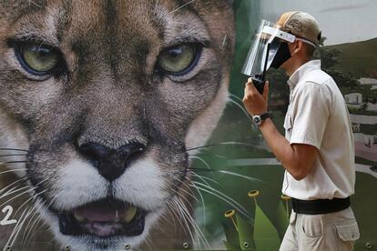 Un trabajador, con mascarilla y protector facial, camina este frente a un cartel del Zoológico de Cali (Colombia).