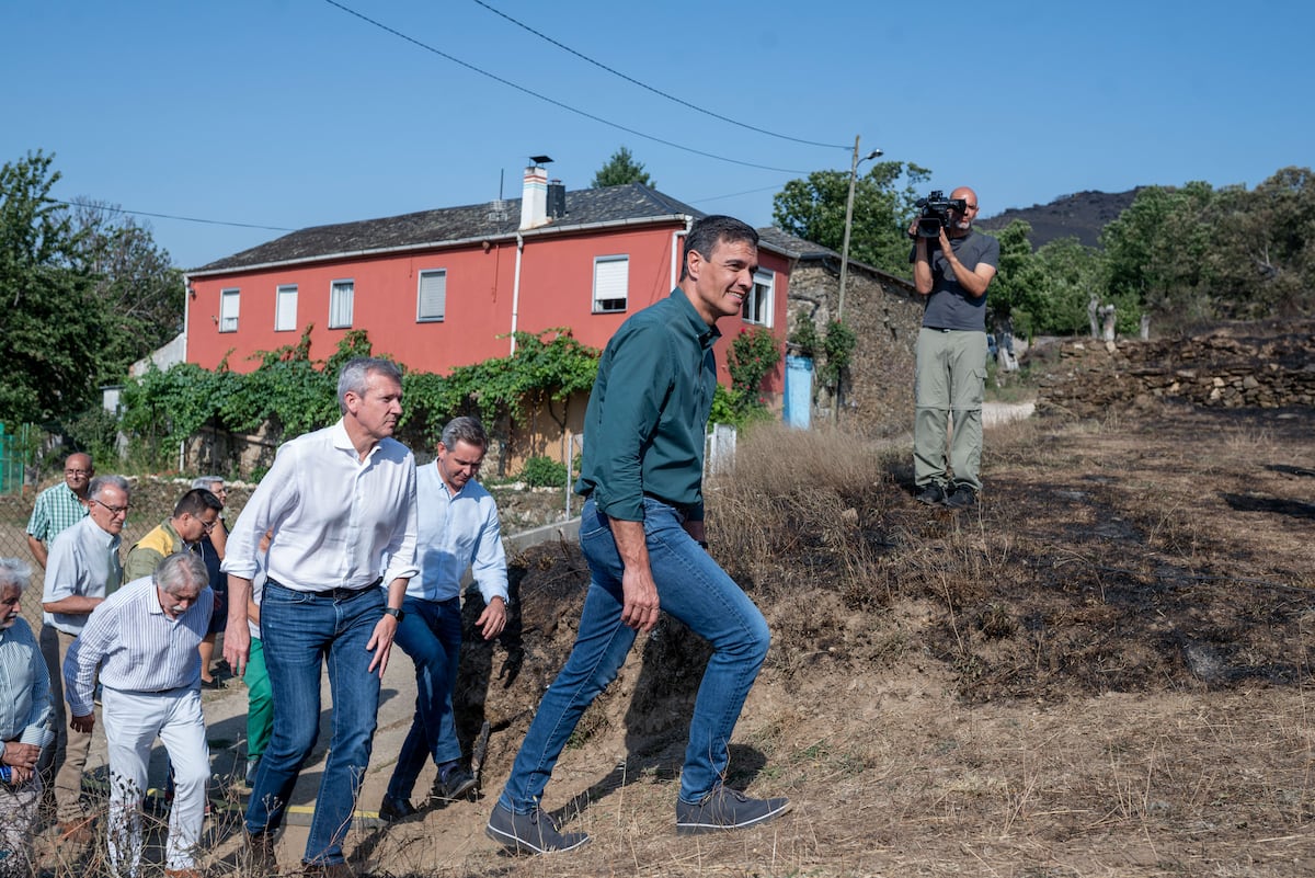 Los incendios arrasan casi 20.000 hectáreas solo en Galicia | España ...