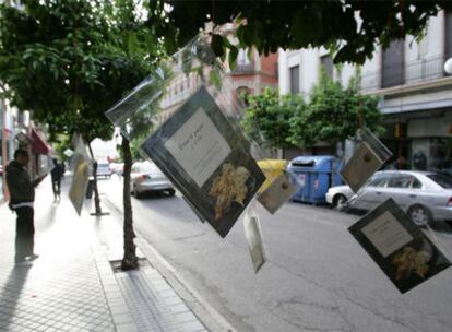 Algunos de los libros que colgaban ayer en los árboles de Córdoba.