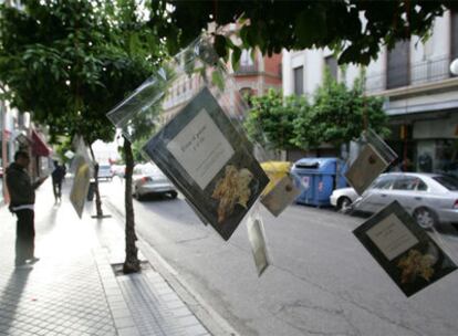 Algunos de los libros que colgaban ayer en los rboles de Crdoba.