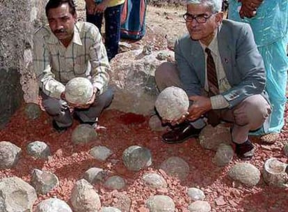 Funcionarios del servicio de geología de India muestran huevos de dinosaurio fosilizados hallados recientemente en el centro del país.