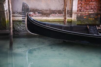 Uno de los canales de Venecia con aguas cristalinas, el 17 de marzo. 