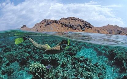 Snorkel sobre los corales del parque nacional de Komodo, en Indonesia.