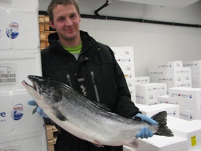 En busca de un pescado decente de criadero