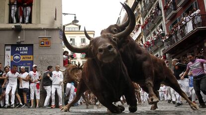 Dos toros de la ganader&iacute;a de Jandilla durante el quinto encierro de los Sanfermines 2017.
 
 