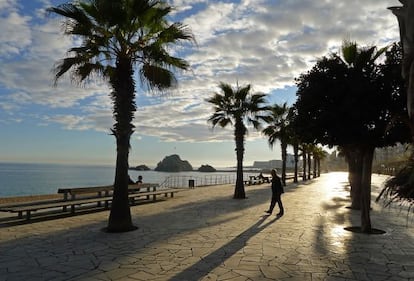 La roca Palomera y las palmeras son señas de identidad del paseo costero de Blanes (Girona).