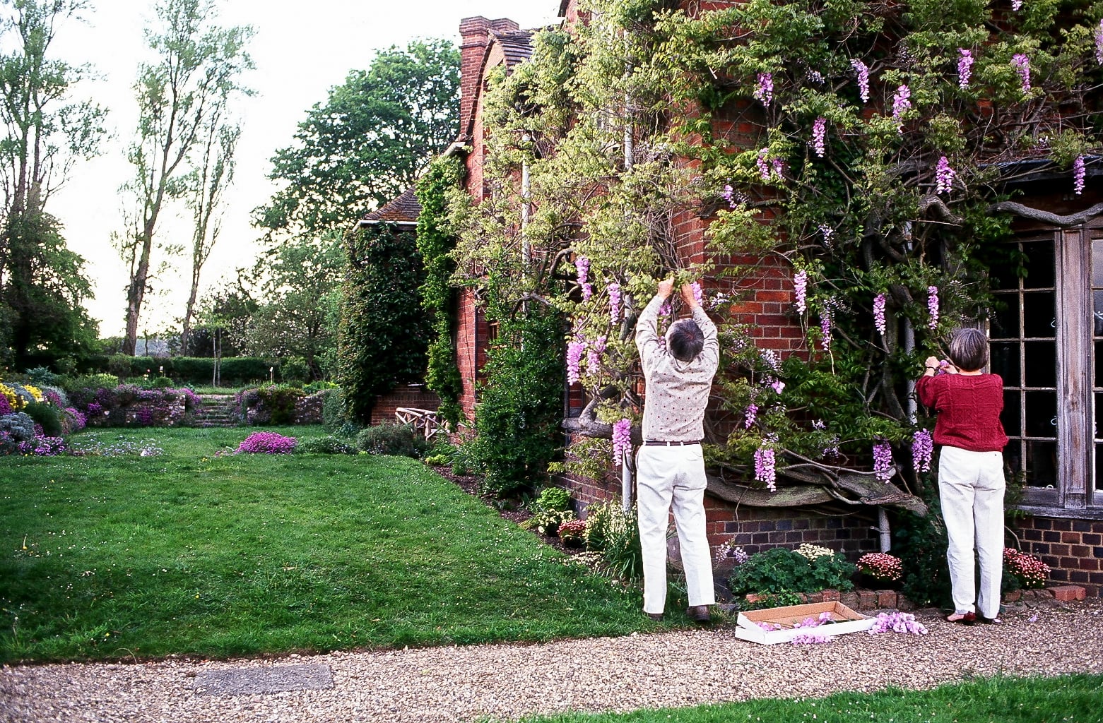 Los decoradores mientras colocan flores artificiales en una enredadera en el exterior de Peppard Cottage para el rodaje de 'Howards End'.