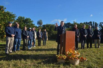 Mauricio Macri at a citrus plantation in Concordia.
