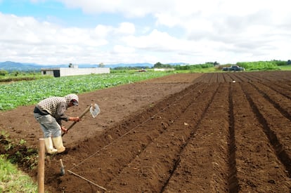 Un agricultor en Guatemala.