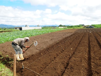 Um agricultor na Guatemala.