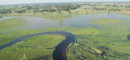 Delta del Okavango, en Botsuana.