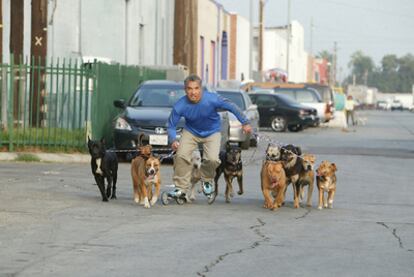 César Millán, presentador del programa "El encantador de perros" de Cuatro.
