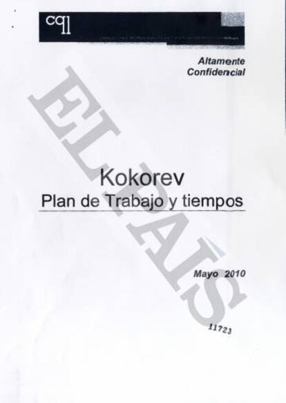Contrato firmado entre Kokorev y la consultora.