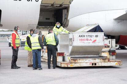 Llegada de vacunas al aeropuerto de Tenerife Sur.