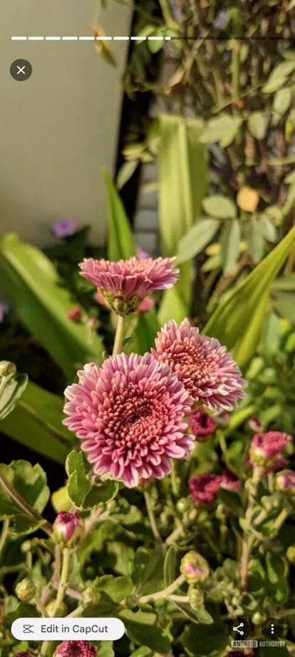 Google Fotos con botón para la aplicacion CapCup