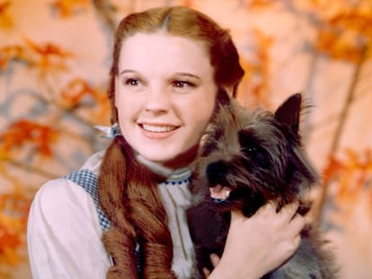 Judy Garland, caracterizada como Dorothy en 'El mago de Oz'.