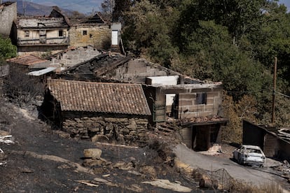 Vista de las consecuencias del paso de un incendio por Caridade, Ourense, este miércoles.