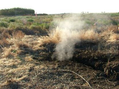 Un incendio en el Parque Nacional de las Tablas de Daimiel (Ciudad Real) en octubre de 2009.