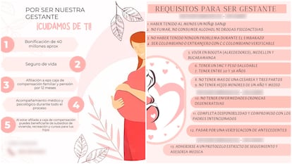 Informative brochure of a surrogate agency in Colombia.