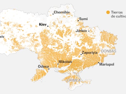 “Ucrania era nuestro granero”: así destroza la guerra los cultivos 