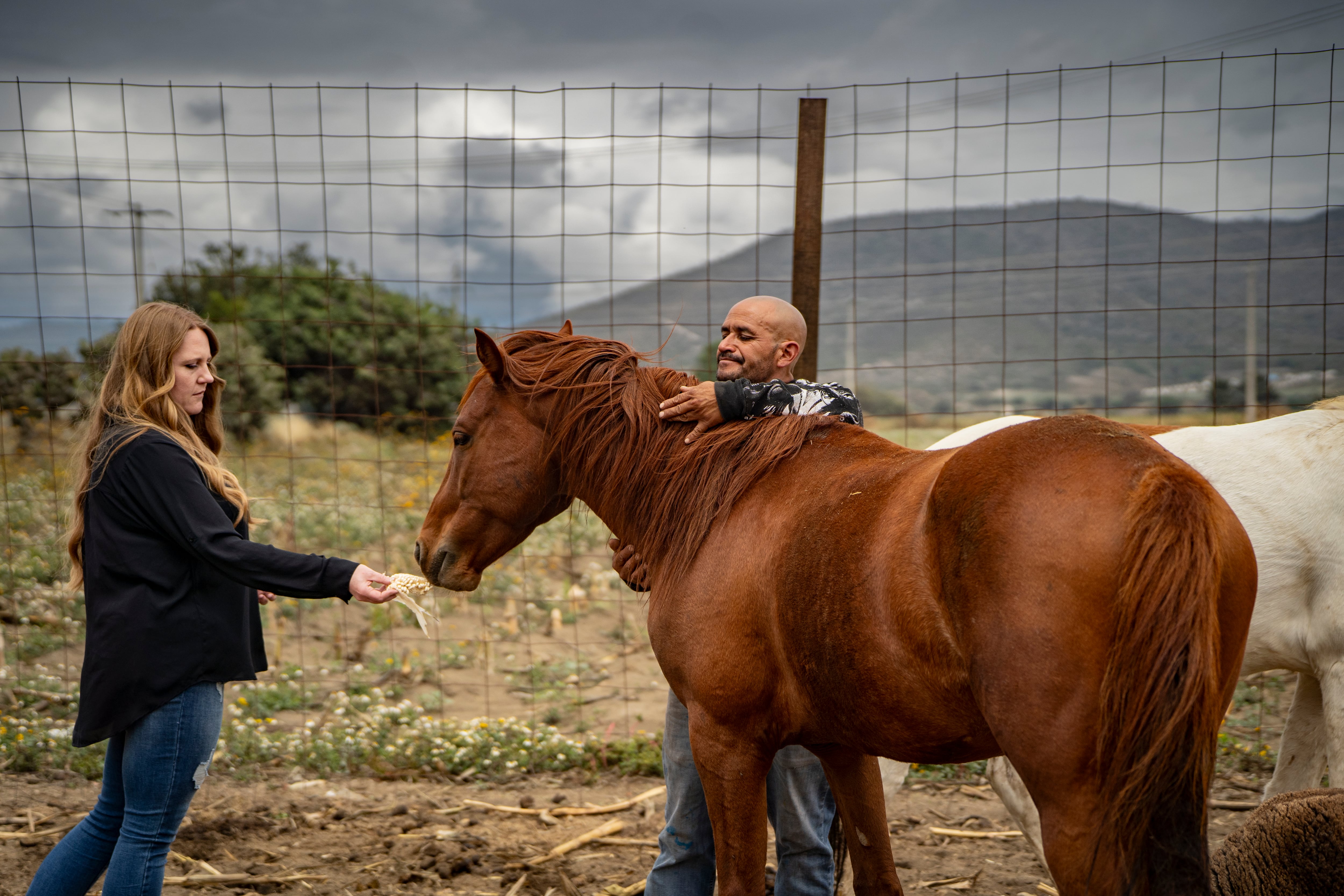 Candice y Fidel alimentan a un caballo, en su granja.