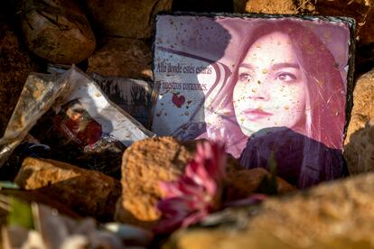 Una foto y flores recuerdan a Miriam Vallejo en el lugar entre Madrid y Castilla-La Mancha en el que fue asesinada.