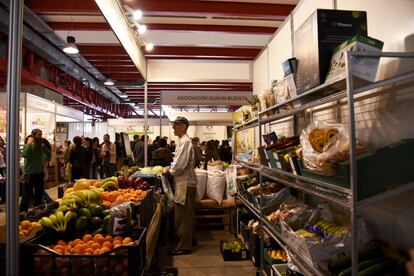 Frutas y verduras de agricultura ecológica.