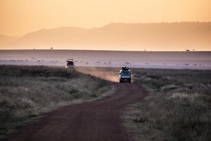 Dos furgonetas con turistas terminan un día de safari en el interior del Parque Nacional del Masái Mara, en el suroeste de Kenia, raramente vacío de visitantes en la primera semana de agosto de 2020.