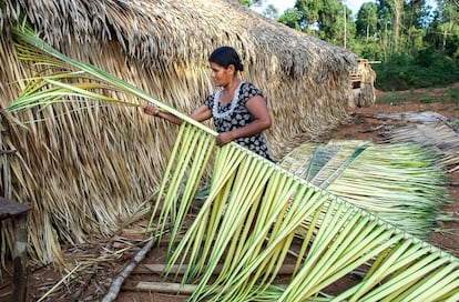 Uma mulher da aldeia Arado utiliza folhas de uma palmeira babaçu para fazer a cobertura de sua casa. Consegue mantê-la seca nos dias de chuva e fresca nos dias de muito calor, uma constante nessa região da Amazônia. Se bem feita, essa cobertura pode resistir até dois anos.