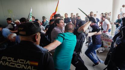 Ganaderos asaltan la Delegación de la Junta en Salamanca en la que hubo cargas policiales y altercados.