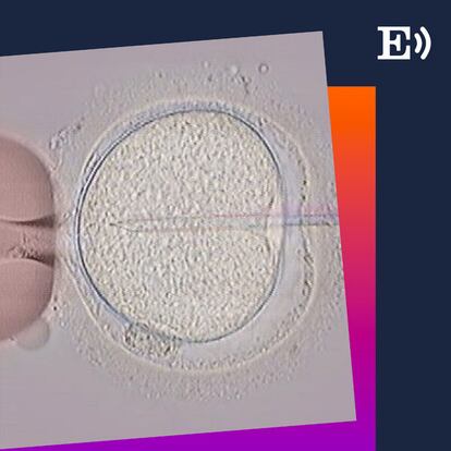 El mercado de la reproducción asistida