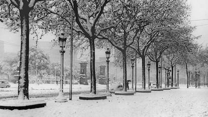 El paseo de Gracia, con la plaza de Cataluña al fondo, bajo la gran nevada caída en Barcelona en 1962.