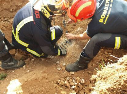 Los bomberos rescatan a los dos perros en Arganda del Rey.