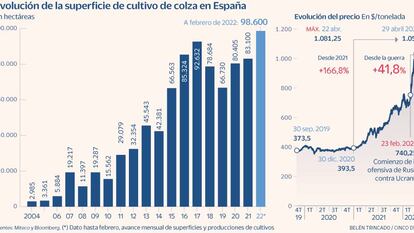 España da una nueva oportunidad a la colza, que repunta a máximos históricos