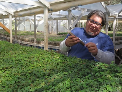 El biólogo Ricardo Suarez en su vivero de Río Ceballos, Córdoba (Argentina).