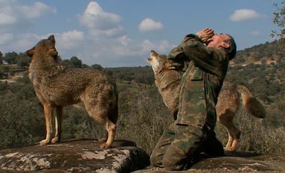 Marcos Rodríguez Pantoja howls alongside two wolves in a scene from the documentary about his life in the mountains, 'Marcos, the lone wolf'.