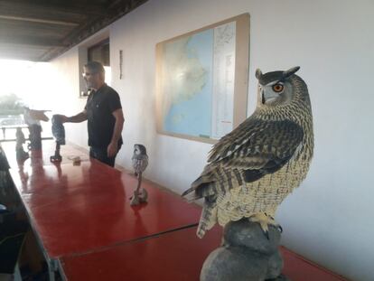 Taller de aves en el festival del delta.