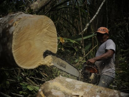 Explotación Amazonas