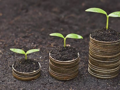 ¿Negocio rentable y sostenible? Sí, se puede