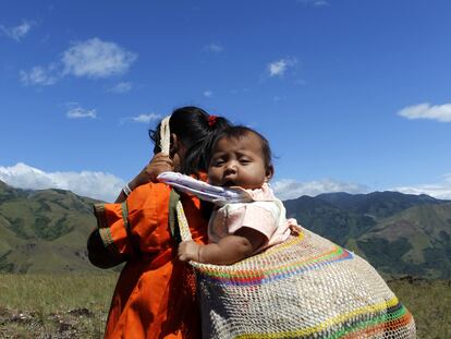 El amargo fruto de la tierra más rica
