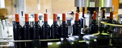 Un momento del embotellado en las bodegas de Carlos Falcó.