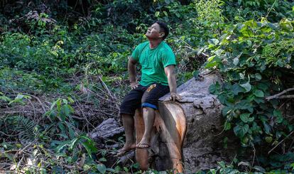 O cacique Turu Arara observa sua terra devastada por madeireiros.