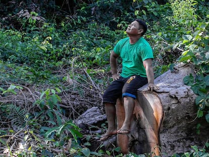 O cacique Turu Arara observa sua terra devastada por madeireiros.