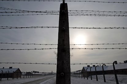 Campo de concentración de Auschwitz durante el 69º aniversario de su liberación.