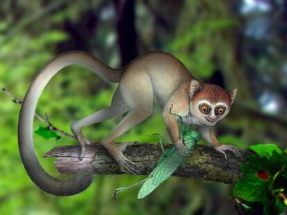 Reconstrucción artística del primate Archicebus achilles en su hábitat arbóreo.