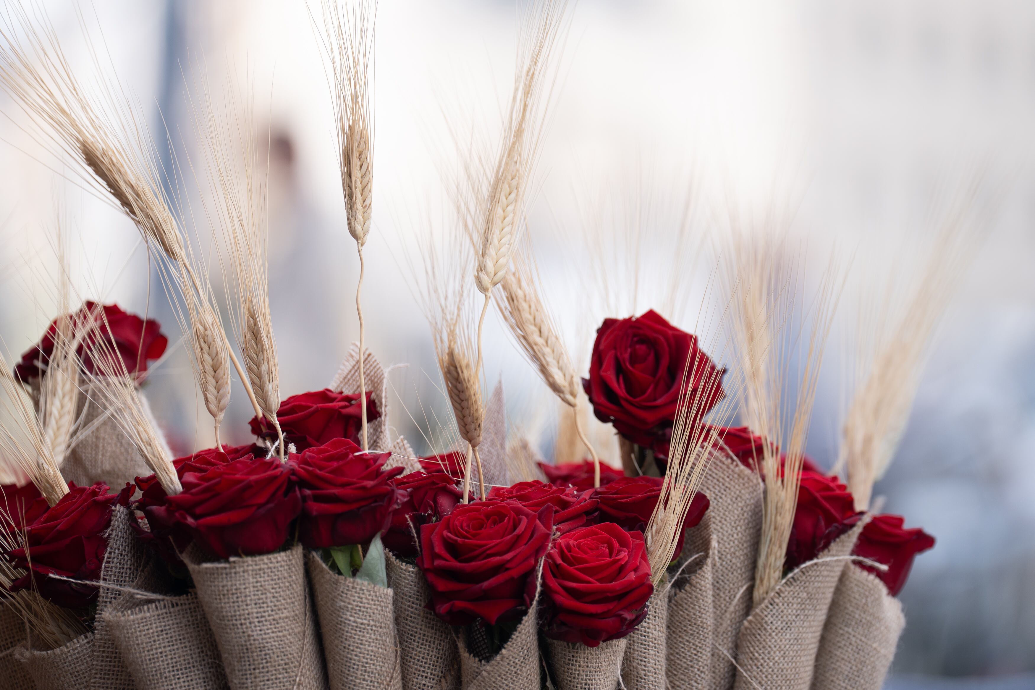 El día en que el amor se corrompió