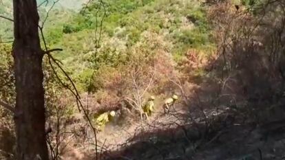 Incendio en Sierra Bermeja