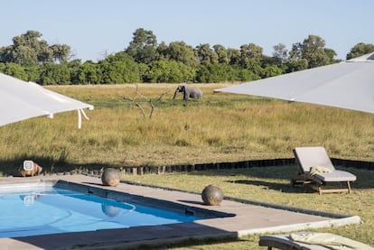 Piscina en el Khwai River Lodge, uno de los primeros en el Delta. Los animales acuden a beber al río Khwai cada día, muy cerca de las habitaciones.