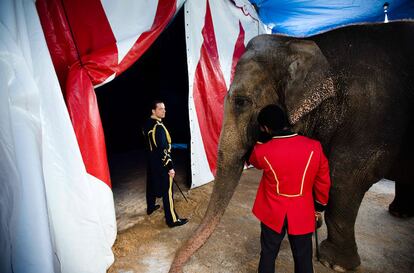 Dos domadores esperan su turno para entrar con el elefante a la pista del Circo Knie, en Berna.